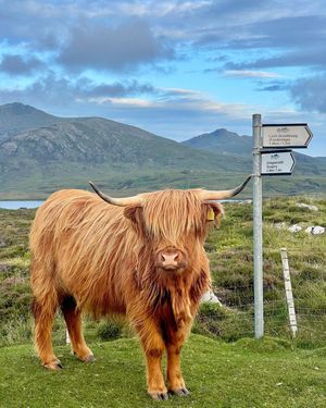 Image post by @visitscotland on Instagram