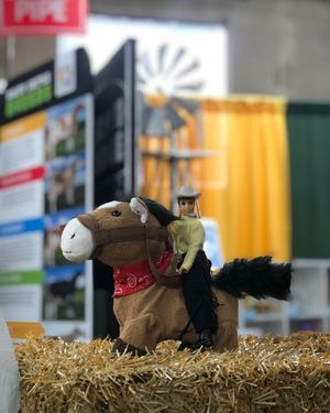 Image post by @nationalwestern on Instagram