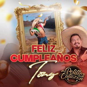 Image post by @pelillosdeculiacan on Instagram