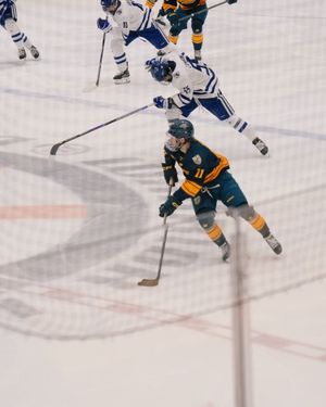 Image post by @merrimack_mih on Instagram