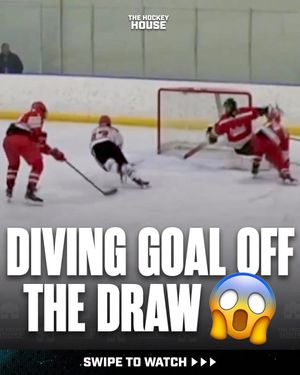 Image post by @hockeyhousepod on Instagram