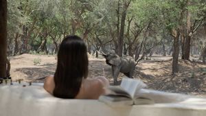 Image post by @chiawasafaris on Instagram
