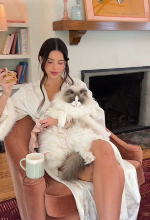 Video post by @lyssielooloo on TikTok