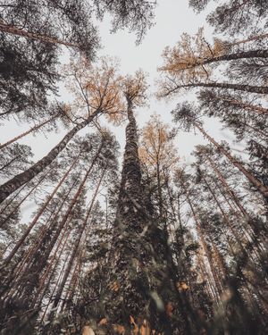 Image post by @keiousai on Instagram