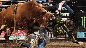Video post by @pbr on YouTube