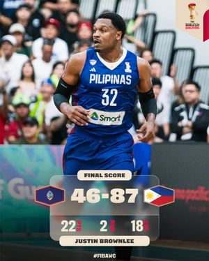 Image post by @fibawc on Instagram