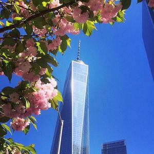 Image post by @explorewtc on Instagram