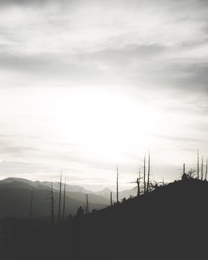 Image post by @chrislholder on Instagram
