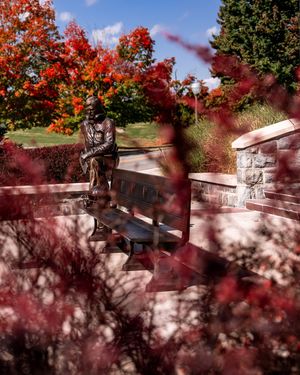 Image post by @hokiesfb on Instagram