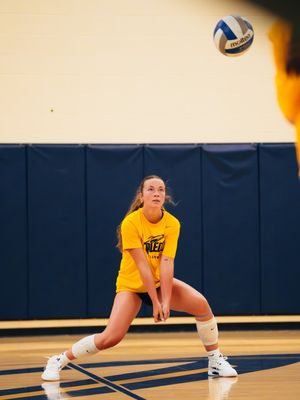 Image post by @toledo_vb on Instagram