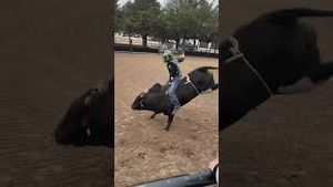 Video post by @pbr on YouTube