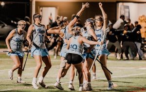 Image post by @saubees on Instagram