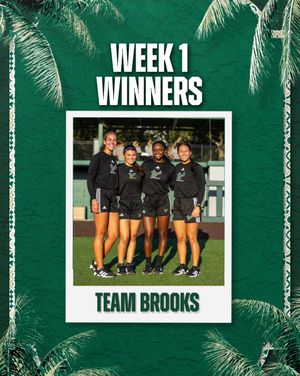 Image post by @usfsoftball on Instagram
