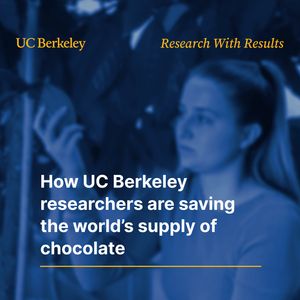 Image post by @ucberkeleyofficial on Instagram