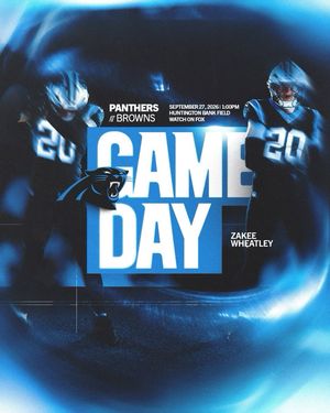 Image post by @panthers on Instagram