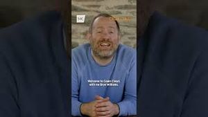 Video post by @s4c on YouTube