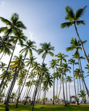 Image post by @vivaresorts on Instagram