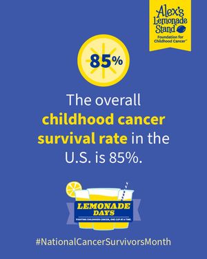 Image post by @alexslemonade on Instagram