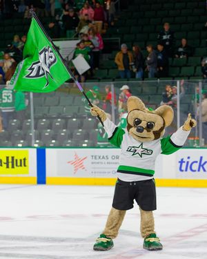 Image post by @txstarshockey on Instagram
