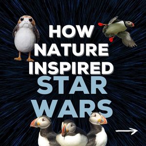 Image post by @rspb on Instagram
