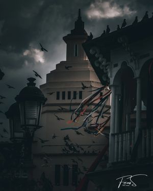 Image post by @focussbyjo on Instagram