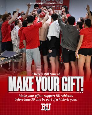 Image post by @terrierswimdive on Instagram