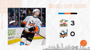 Image post by @SDGullsAHL on Twitter