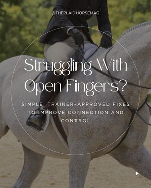 Image post by @theplaidhorsemag on Instagram