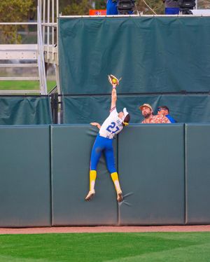 Image post by @gatorssb on Instagram