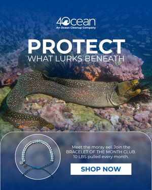 Image post by @4ocean on Instagram
