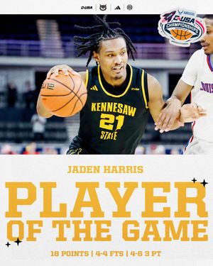 Image post by @ksuowlsmbb on Instagram