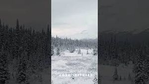 Video post by @ambashepherd on YouTube