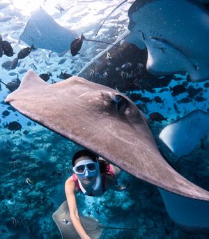 Image post by @gopro on Instagram