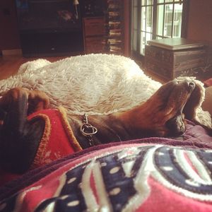 Image post by @slow_mama5 on Instagram