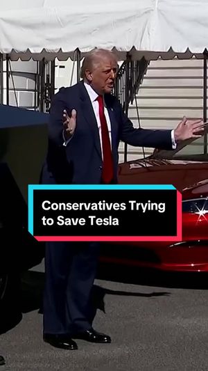 Video post by @thedailyshow on TikTok
