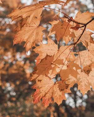 Image post by @kate.simple.life on Instagram