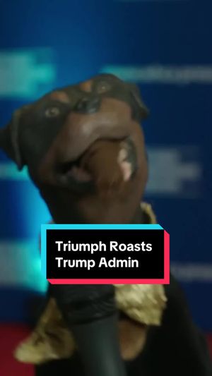Video post by @thedailyshow on TikTok