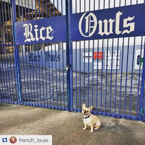 Image post by @riceathletics on Instagram