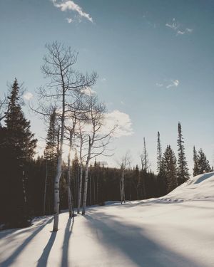 Image post by @chrislholder on Instagram