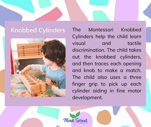 Image post by @mindsproutmontessori on Instagram