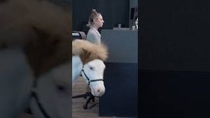 Video post by @raiders on YouTube