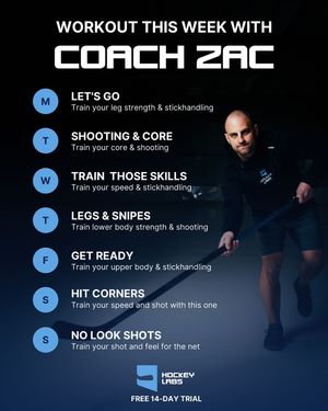 Image post by @hockeylabs_tg on Instagram