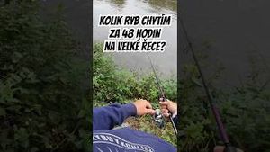 Video post by @jonasederfishing on YouTube