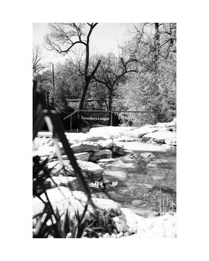 Image post by @tfophotos on Instagram