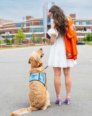 Image post by @canineorg on Instagram