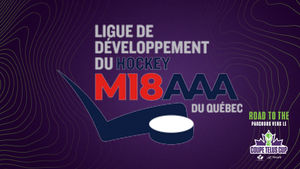 Image post by @HockeyCanada on Twitter