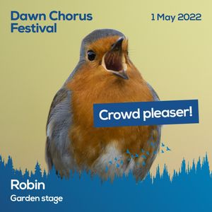 Image post by @rspb on Instagram