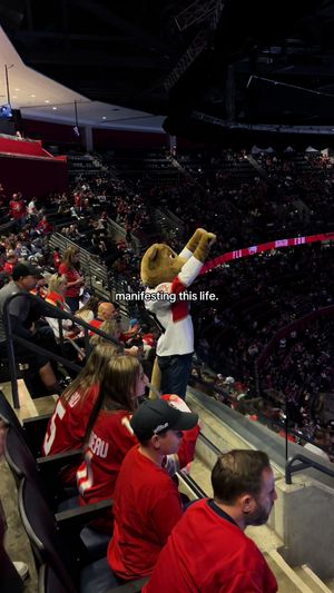 Video post by @amolikulkarni on TikTok