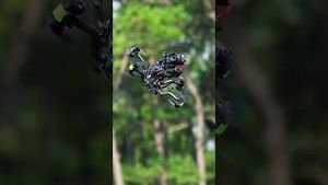 Video post by @dji on YouTube