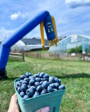 Image post by @fishkillfarms on Facebook